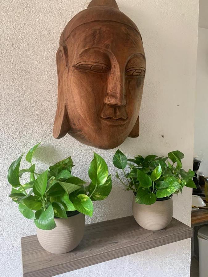 Casa Candra San Francisco  Εξωτερικό φωτογραφία